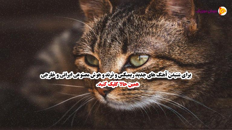 دانلود آهنگ ﻫﻢ ﺧﻮدﺗﻮ ﮔﺎﻳﻴﺪم ﻫﻢ ﻓﺎﺑﺘﻮ از مهدیار